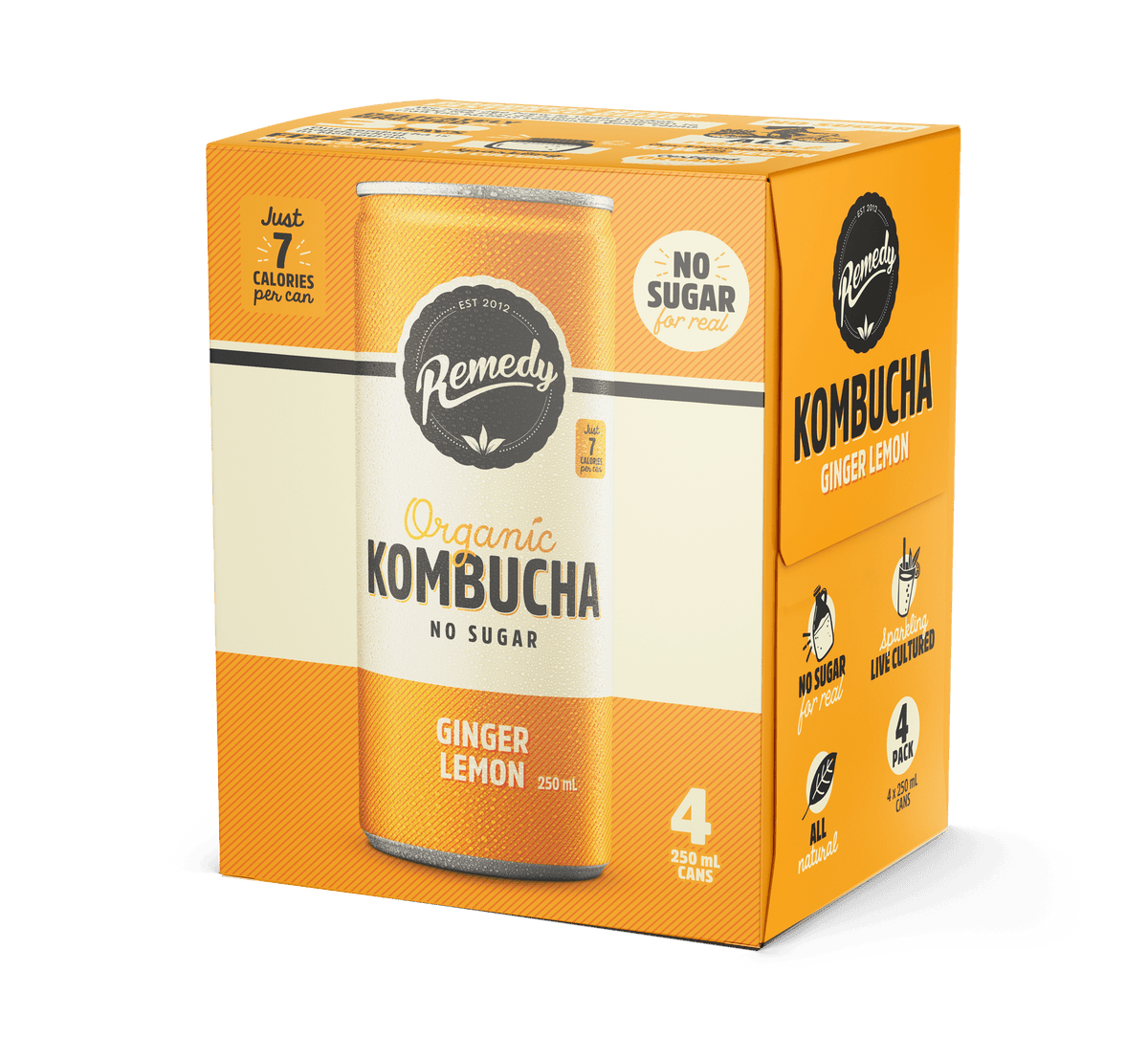 Ginger Lemon Kombucha Can 4-pack
