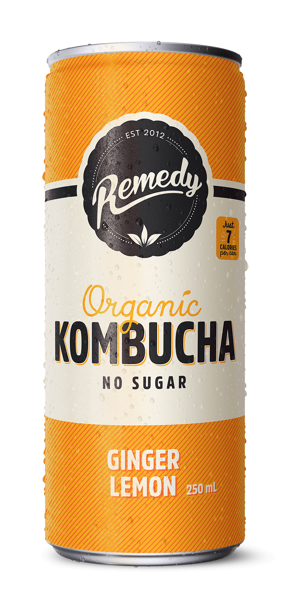 Ginger Lemon Kombucha Can 24ct