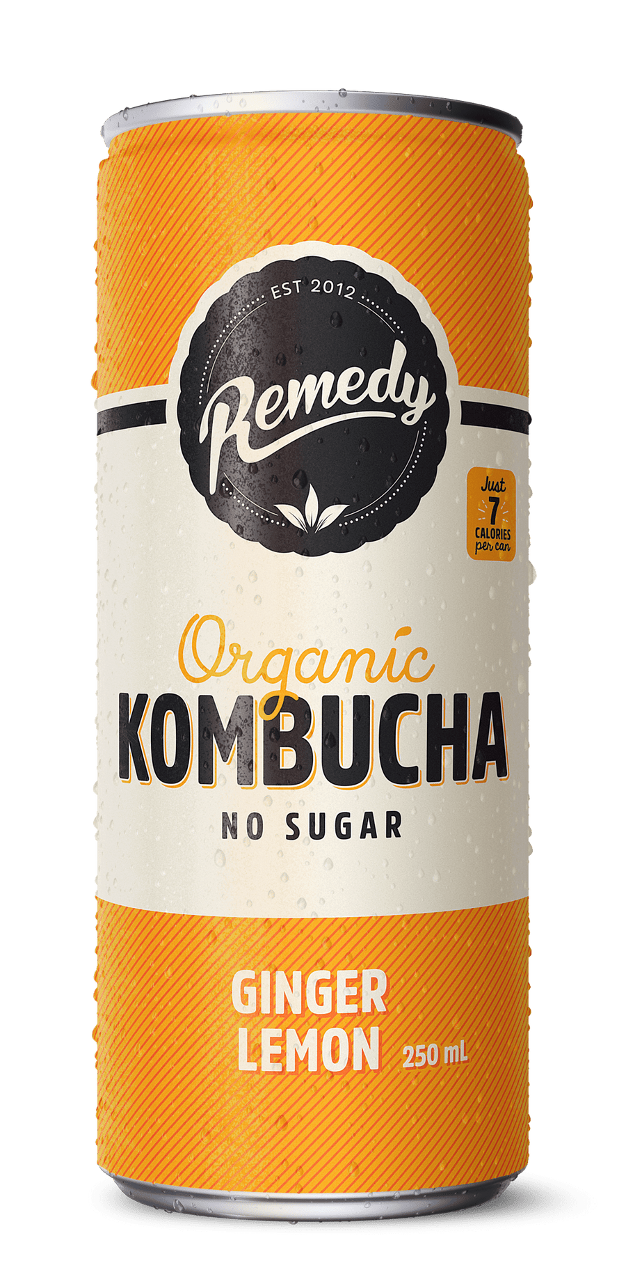 Ginger Lemon Kombucha Can 24ct