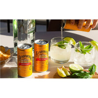 Ginger Beer Mini Cans 24s