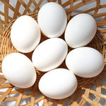 Farm Fresh Eggs (12 pcs)