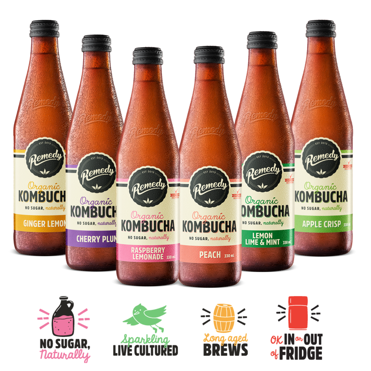 Mixed Case Organic Kombucha 330ml x 12