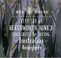 Australian Honey Squeeze Bottle 375g